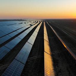 Mehrere Reihen Photovoltaik Modulen bei tief stehender Sonne